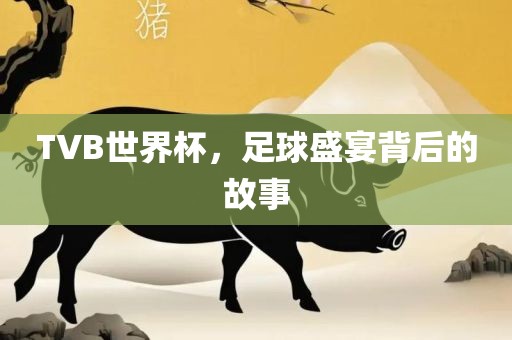 TVB世界杯，足球盛宴背后的故事