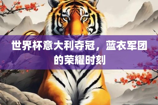 世界杯意大利夺冠，蓝衣军团的荣耀时刻眉山市正发家政服务有限公司