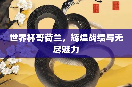 世界杯哥荷兰，辉煌战绩与无尽魅力眉山市正发家政服务有限公司