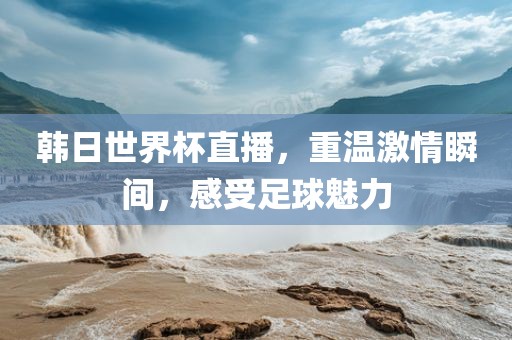 韩日世界杯直播，重温激情瞬间，感受足球魅力