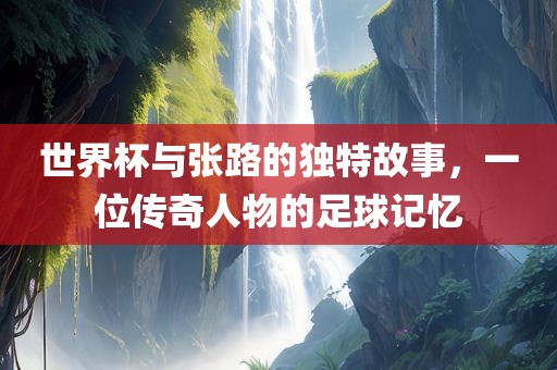 世界杯与张路的独特故事，一位传奇人物的足球记忆眉山市正发家政服务有限公司