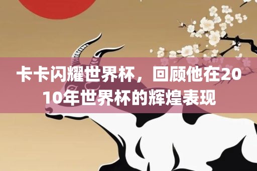 卡卡闪耀世界杯，回顾他在2010年世界杯的辉煌表现眉山市正发家政服务有限公司