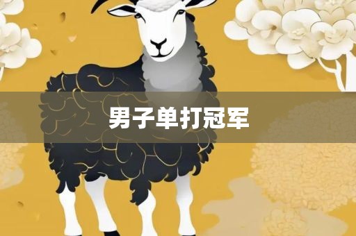 男子单打冠军眉山市正发家政服务有限公司