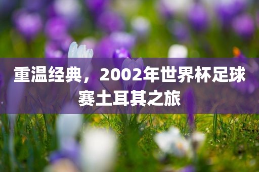 重温经典，2002年世界杯足球赛土耳其之旅