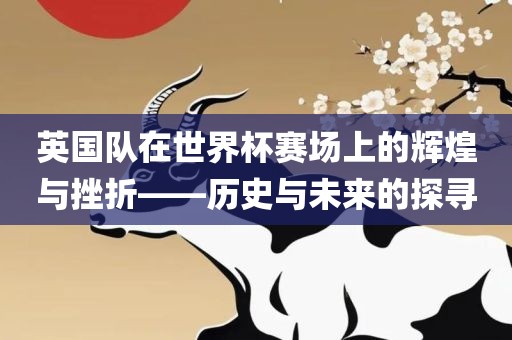 英国队在世界杯赛场上的辉煌与挫折——历史与未来的探眉山市正发家政服务有限公司寻