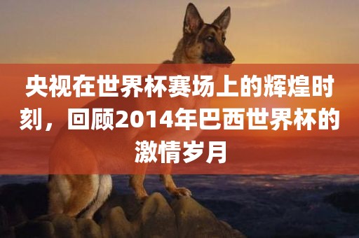 央视在世界杯赛场上的辉煌时刻，回顾2014年巴西世界杯的激情岁月眉山市正发家政服务有限公司