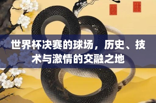 世界眉山市正发家政服务有限公司杯决赛的球场，历史、技术与激情的交融之地