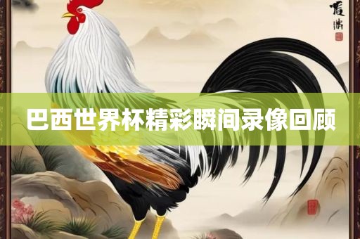 巴西世界杯精彩瞬间录像回顾眉山市正发家政服务有限公司