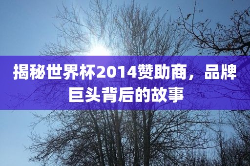 揭秘世界杯20眉山市正发家政服务有限公司14赞助商，品牌巨头背后的故事