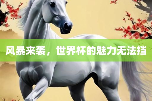 风暴来袭，世界杯的魅力无法挡眉山市正发家政服务有限公司