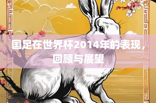 国足在世界杯2014年的表现，回顾与展望