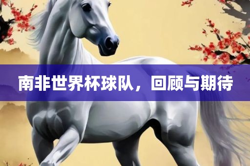 南非世界杯球队，回顾与期待眉山市正发家政服务有限公司