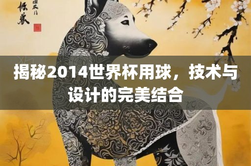 揭秘2014世界杯用球，技术与设计的完美结合眉山市正发家政服务有限公司