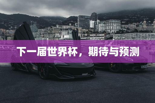 下一届世界杯，期待与预测眉山市正发家政服务有限公司