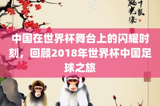 中国在世界杯舞台上的闪耀时刻，回顾2018年世界杯中国足球之旅眉山市正发家政服务有限公司