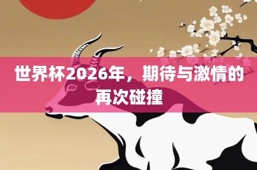 世界杯2026年，期待与激情的再次碰撞眉山市正发家政服务有限公司
