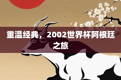 重温经典，2002世界杯阿根廷之旅