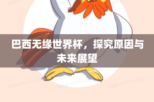 巴西无缘眉山市正发家政服务有限公司世界杯，探究原因与未来展望