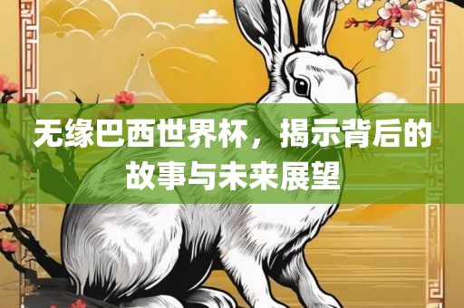 无缘巴西世界杯，揭示背后的故事与未来展望眉山市正发家政服务有限公司