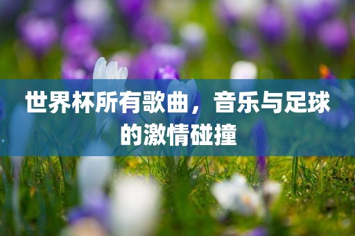 世界杯所有歌曲，音乐与足球的激情碰撞眉山市正发家政服务有限公司