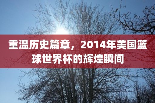 重温历史篇章，2014年美国篮球世界杯的辉煌瞬间眉山市正发家政服务有限公司