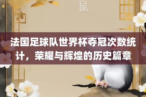 法国足球队世界杯夺冠次数统计眉山市正发家政服务有限公司，荣耀与辉煌的历史篇章