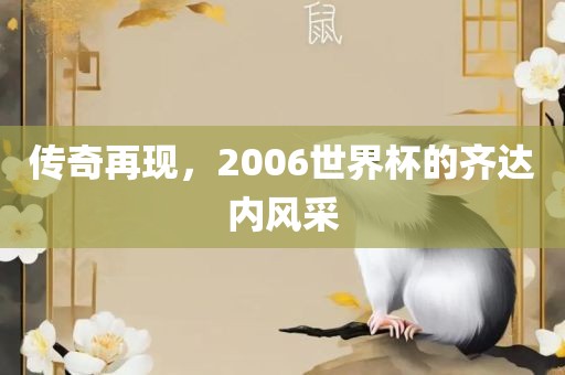 传奇再现，2006世界杯的齐达内风采眉山市正发家政服务有限公司