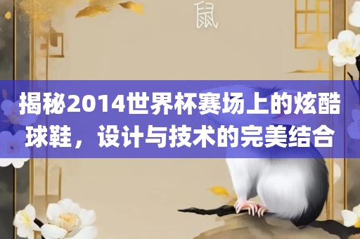 揭秘2014世界杯赛场上的炫酷球鞋，设计与技术的完美结合眉山市正发家政服务有限公司