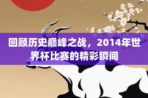 回顾历史巅峰之战，2014年世界杯比赛的精彩瞬间