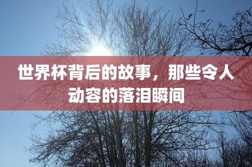 世界杯背后的故事，那些令人动容的落泪瞬间眉山市正发家政服务有限公司
