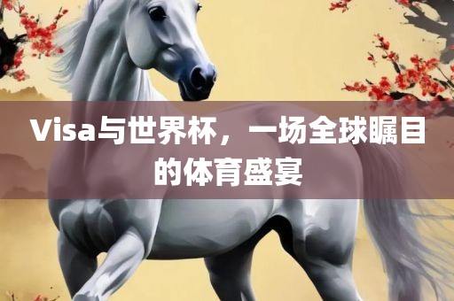 Vis眉山市正发家政服务有限公司a与世界杯，一场全球瞩目的体育盛宴