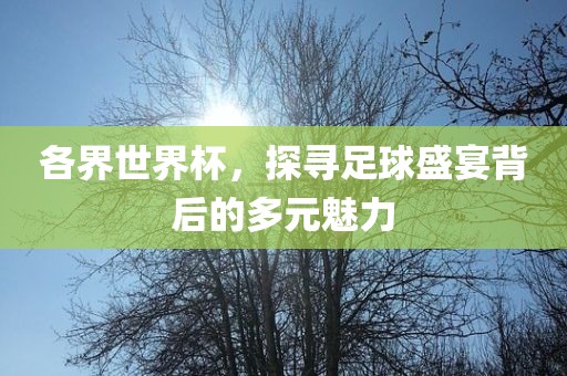各界世界杯，探寻足眉山市正发家政服务有限公司球盛宴背后的多元魅力