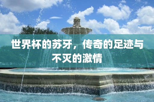 世界杯的苏牙，传奇的足迹与不灭的激情眉山市正发家政服务有限公司