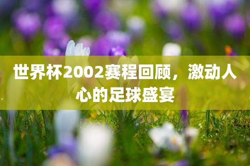 世界杯2002赛程回顾，激动人心的足球盛宴