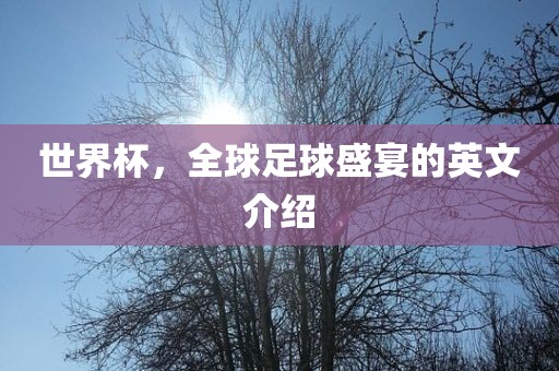 世界杯，全球足球盛宴的英文介绍眉山市正发家政服务有限公司