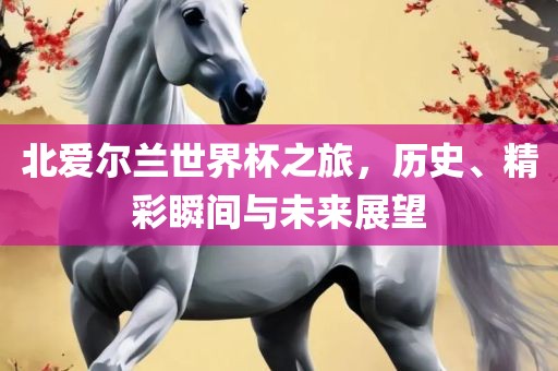 北爱尔兰世界杯之旅，历史、精彩瞬间与未来展眉山市正发家政服务有限公司望