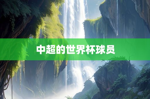 中超的世界杯球员眉山市正发家政服务有限公司