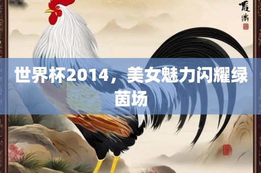 世界杯2014，美女魅力闪耀绿茵场