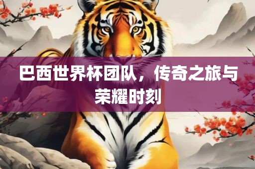 巴西世界杯团眉山市正发家政服务有限公司队，传奇之旅与荣耀时刻