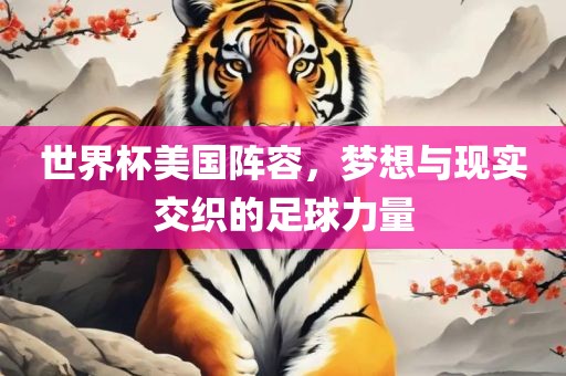 世界杯美国阵容，梦想与现实交织的足球力量眉山市正发家政服务有限公司