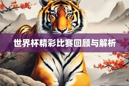 世界杯精彩比赛回顾与解析眉山市正发家政服务有限公司