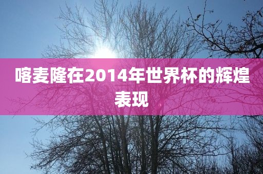 喀麦隆在2014年世界杯的辉煌表现眉山市正发家政服务有限公司