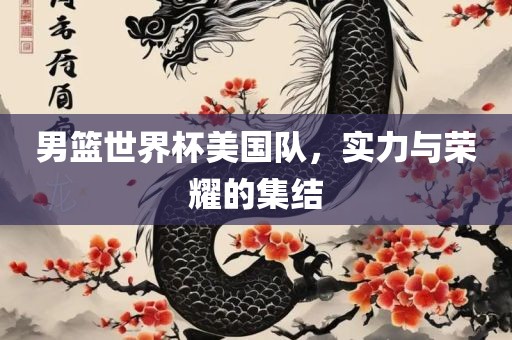 男篮世界杯美国队，实力与荣耀的集结眉山市正发家政服务有限公司