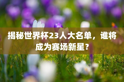 揭秘世界杯23人大名单，谁将成为赛场新星？眉山市正发家政服务有限公司