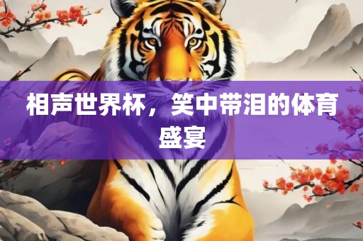 相声世界杯，笑中带泪的体育盛宴眉山市正发家政服务有限公司