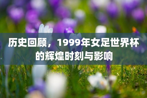 历史回顾，1999年女足世界杯的辉煌时刻与影响眉山市正发家政服务有限公司