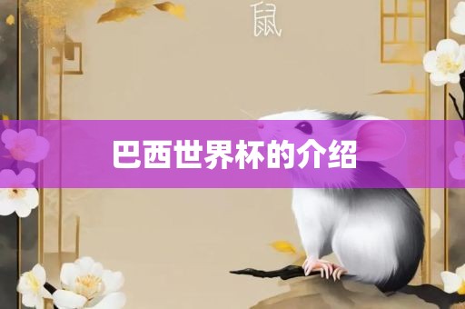 巴西世界杯的介绍