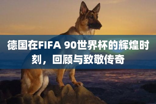 德国在FIFA 90世界杯的辉煌时刻，回顾与致敬传奇眉山市正发家政服务有限公司