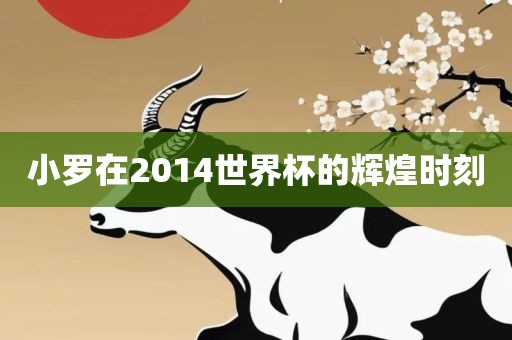 小罗在2014世界杯的辉煌时刻眉山市正发家政服务有限公司