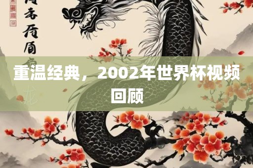 重温经典，2002年世界杯视频回顾眉山市正发家政服务有限公司